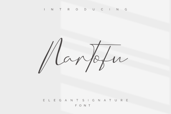 Enhance Your Brand with the Elegant Nartofu Font