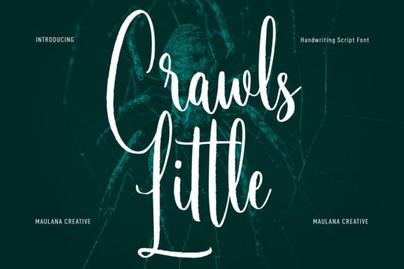 Little Crawls: A Handwritten Font for Professional Branding